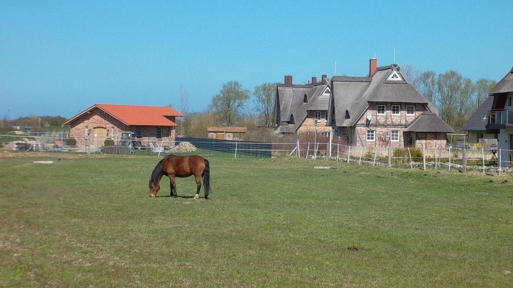 Apartment Strandnah - Boergerende-Rethwisch